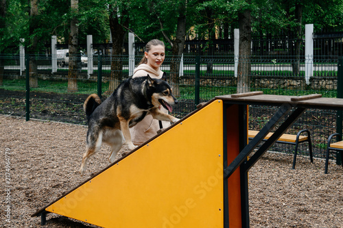 Bild auf Leinwand dog agility training, young caucasian woman instructor trains cute clever mongre
