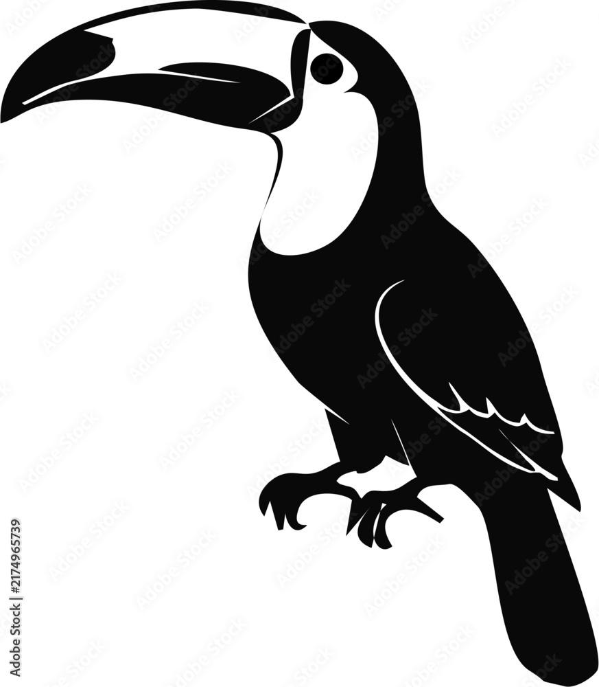 Fototapeta premium Black and White bird Silhouette Side View Vector Illustration