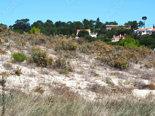 Konstfotografi Beautiful beach in Foz do aurelho in Portugal with sandy dunes, cliffs and cryst