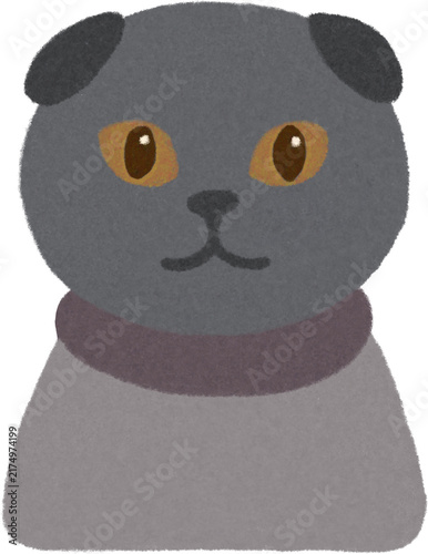 Cute gray Scottish Fold cat portrait with yellow eyes and a simple collar colored pencil style illustration