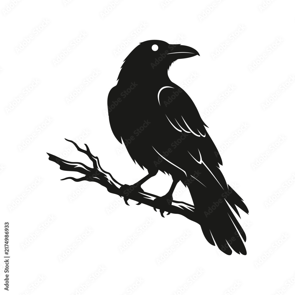 Fototapeta premium Solid vector silhouette of a perched raven crow looking over its shoulder, sharp vector.