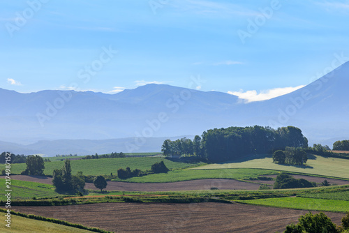 Naklejka 十勝岳連峰を望む美瑛のパッチワークの丘と田園風景（北海道美瑛町）