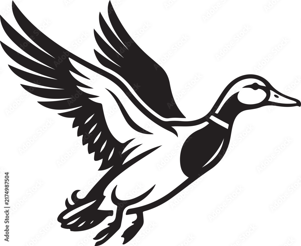 Fototapeta premium Flying Mallard Duck Vector Illustration Mallard Duck Line Art Waterfowl Silhouette Graphic Icon
