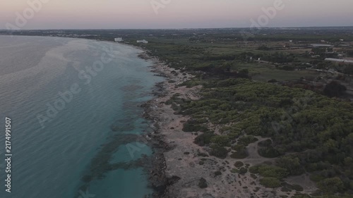 Cinematic high-angle drone flight over Punta della Suina natural park in Salento, Southern Italy. Scenic coastline with clear sea and pine forest during twilight.