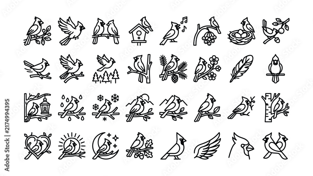 Obraz premium black and white line drawings of cardinals and related winter nature scenes