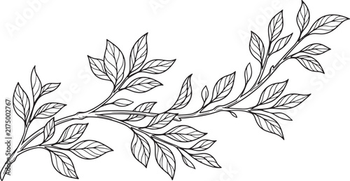 Black and White Seamless Floral Branch Pattern with Leaves and Botanical Tree Silhouette for Vintage Nature Wallpaper and Decorative Vector Design