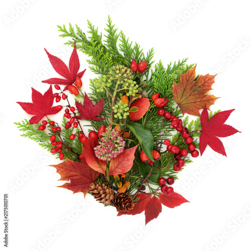 Canvastavla Autumn nature leaf color, red berry and foliage arrangement on white background, Warm seasonal tones, harvest festival symbols