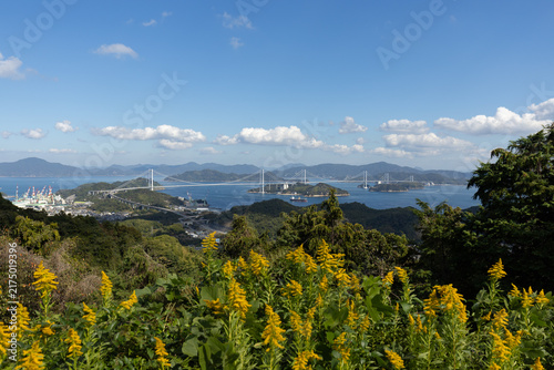 黄色い野花越しに望む瀬戸内海と島々（愛媛県今治市）