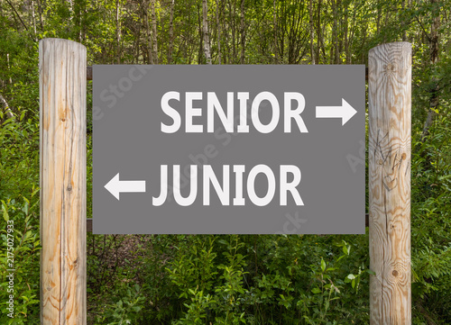 Senior or junior words symbol. Concept words Senior Junior on beautiful road sign. Beautiful green forest background. Business and senior or junior concept. Copy space.