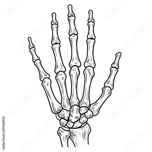 Black and white hand gesture illustration artwork.