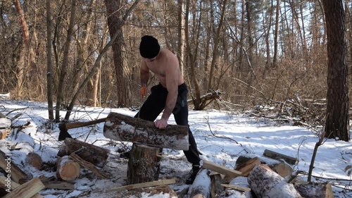 Shirtless man sawing a log in sunny winter forest. Strong guy working with saw in snowy woodland. The scene highlights human effort and outdoor activity in cold conditions. Slow motion
