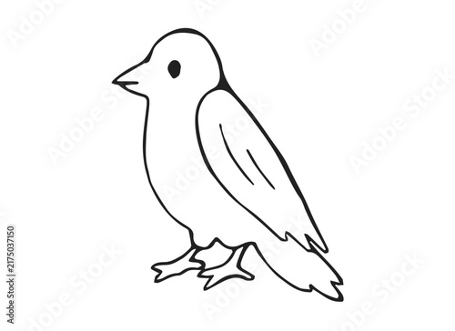 Hand Drawn Crow Bird Standing Side View Line Art Doodle Illustration for Nature and Halloween Design