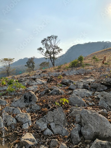 Cuadro en lienzo Limestone Outcrop in Mountain Landscape of Phetchabun Thailand