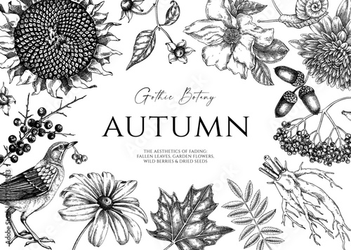 Dark botany, black-and-white background. Autumn heritage floral frame design in vintage botanical style. NOT AI generated