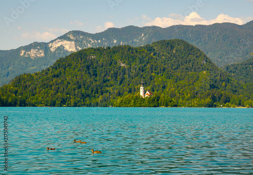 Foto Panaromic view of turquoise Lake Bled with wild ducks swimming in foreground, famous island church and forested mountains in background on sunny summer day