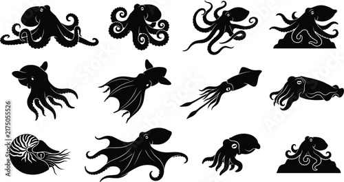 Foto Marine Biology Cephalopod Silhouette Icon Collection with Octopus Squid and Naut