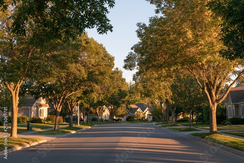 Long eye level telephoto shot down empty residential street lined with mature trees and modest single family homes casting elongated shadows under warm golden hour sunlight creating peaceful suburban