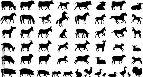 Farm Animals Silhouette Vector Collection - Cows, Horses, Goats, Sheep, Pigs, Poultry, and Pets