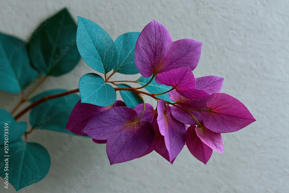 Obraz premium Purple floral bloom with teal leaves for botanical background and floral banner design suitable for wallpaper and poster