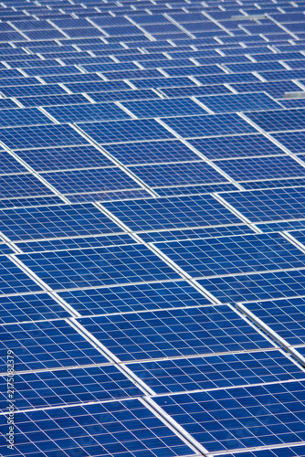 Solar Farm - Sunny Day - Close Up Solar Panels - a full frame vertical close up of panels with selective focus and space for copy.