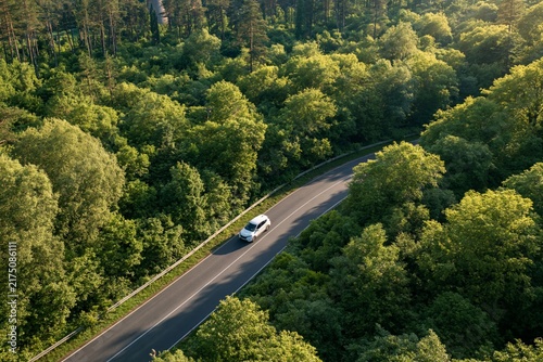 Aerial view of a white car driving along a winding asphalt road through a dense green forest with dappled sunlight filtering through the canopy above, casting long shadows on the road surface