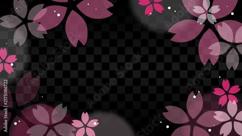 Ichimatsu background with rotating sakura frame, seamless loop animation.
