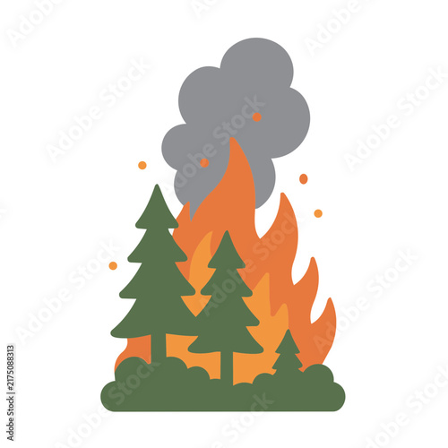 Wildfire Natural Disaster
