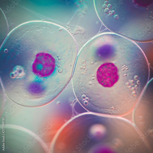 Vibrant microscopic view of pink and purple biological cells floating in liquid medium under bright illumination, showcasing cellular structures and bubbles.