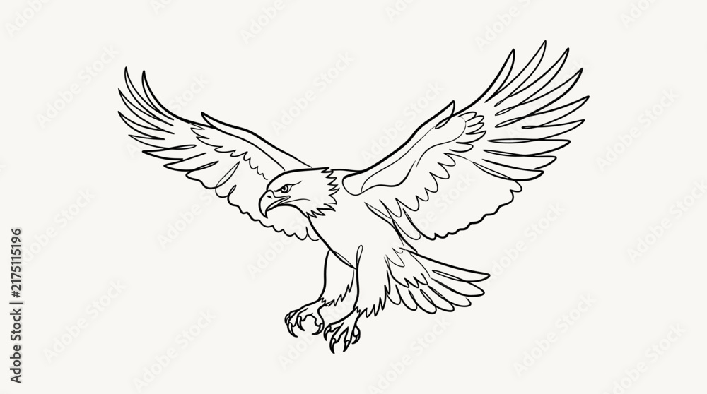 Fototapeta premium Flying bald eagle line drawing.