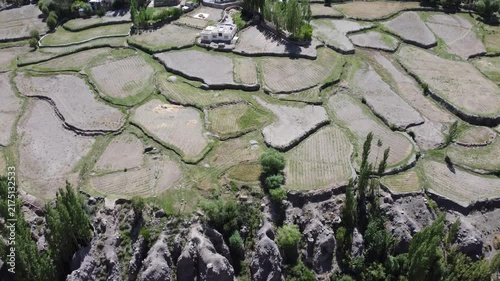 harvested fields in ladakh  indian himalaya