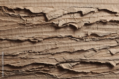 Neutral Cardboard Texture Background with Organic Details