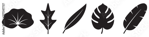 Botanical Leaf Silhouette Collection – Black Foliage