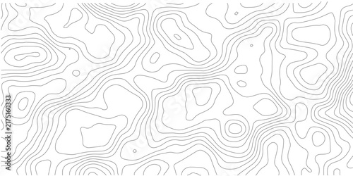 Topographic contour map lines on white background. Flat vector elevation relief pattern. Abstract geography background texture. Contour lines elevation map design.