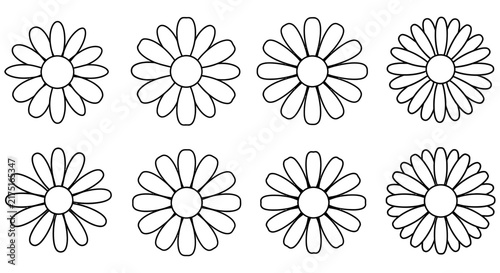 Daisy flower outlines a black and white vector illustration set on a white background