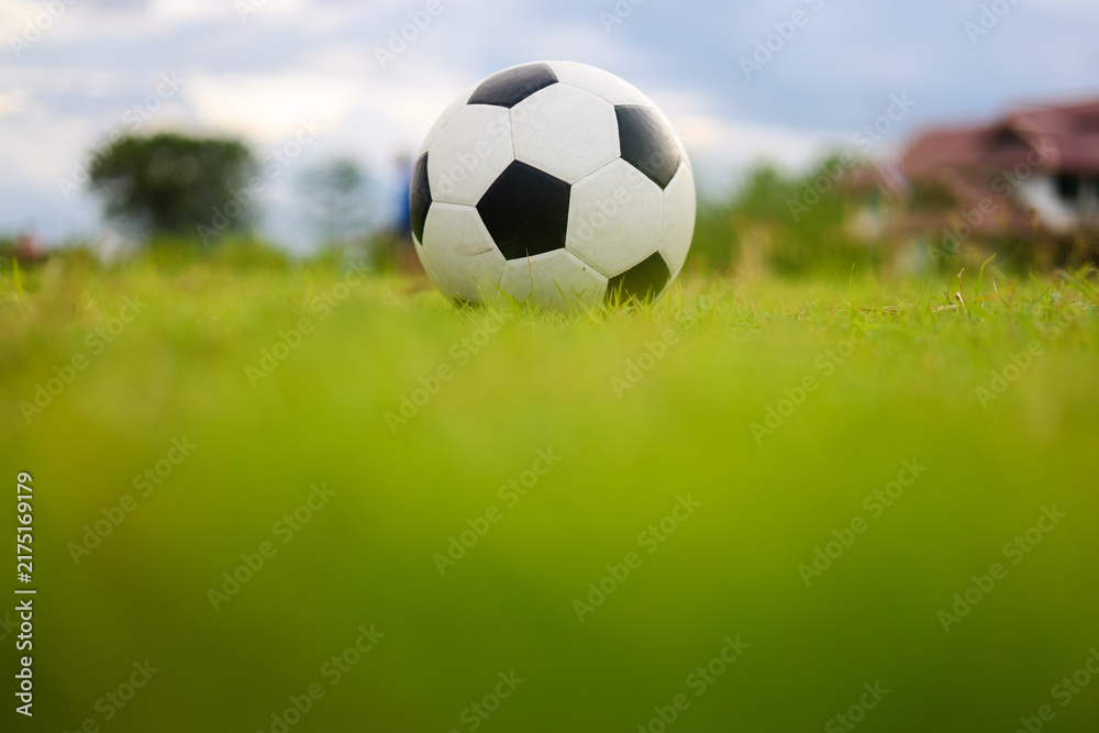 Fototapeta premium soccer ball on green grass with copy space