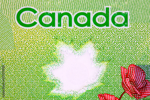 Canadian 20 dollar polymer banknote showing the denomination number 20, red poppies, transparent maple leaf window, and intricate background security patterns.