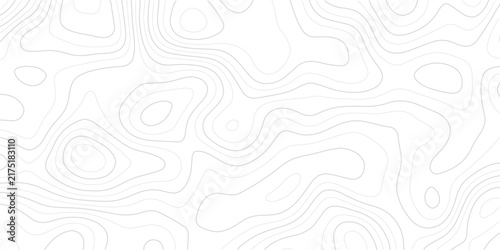 Abstract topographic map contour lines pattern. Minimalist white background with subtle topography curves. Elegant geological elevation map design for creative layouts.