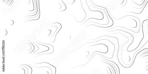 Abstract contour line pattern. Minimalist topographic lines vector illustration. Clean black and white seamless terrain texture for graphic design