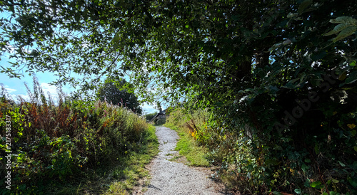Foto A gravel path winds through lush greenery, dappled with shifting branch shadows as sunlight filters in, brightening the vivid greens and adding quiet charm to Cullingworth, UK