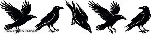 Set of black and white crow and raven silhouettes in various flying and standing poses