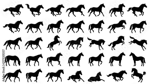 Fotografie Dynamic Horse Side View Silhouette Collection with Editable Vector Shapes of Gal