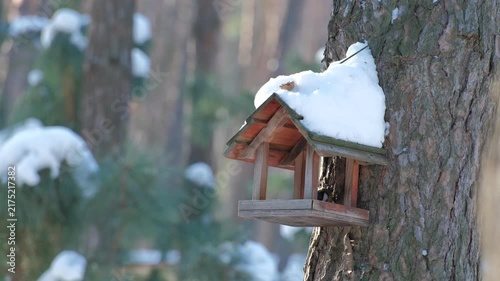 A small bird flies toward a snow covered wooden feeder hanging on a tree in a peaceful winter forest