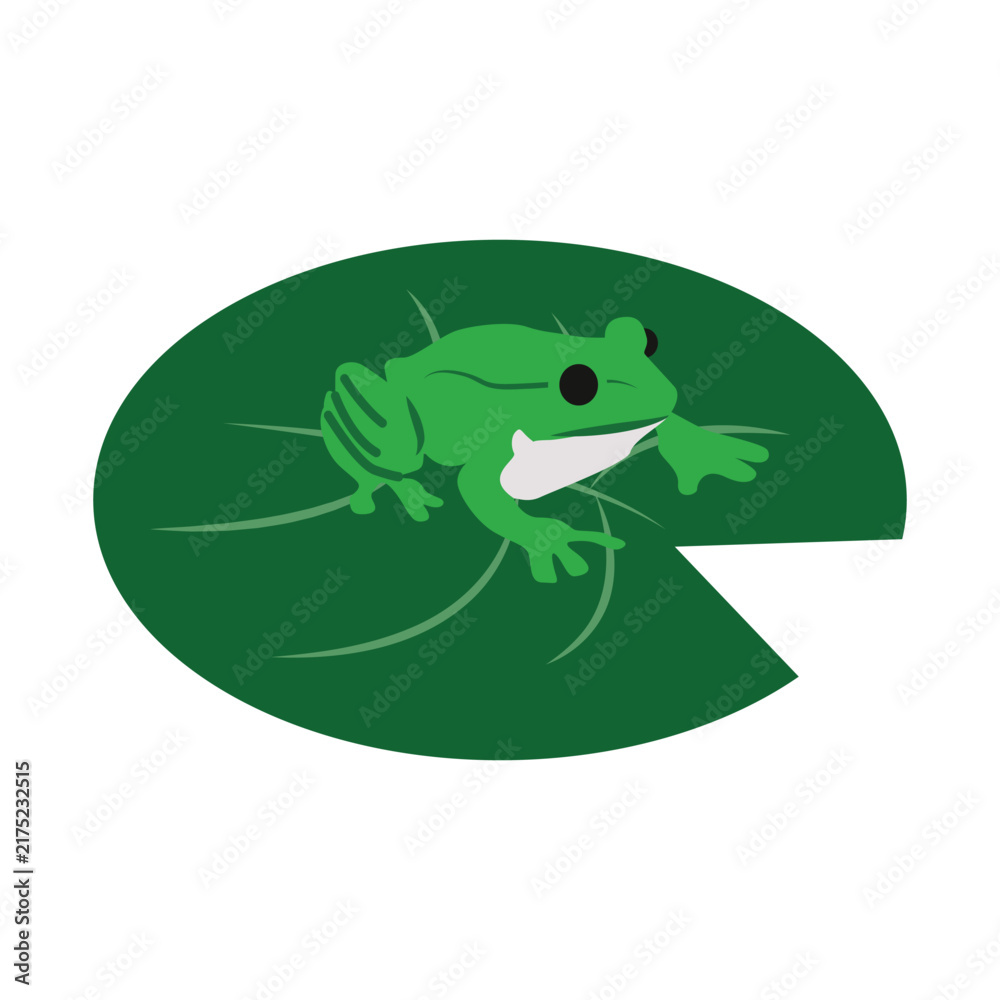 Fototapeta premium Green Frog