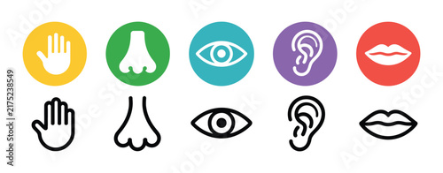 Five senses icon set, human vision, hearing, smell, taste, and touch, simple line icons with colorful circles, editable vector illustration for web, mobile apps, banners, healthcare, education
