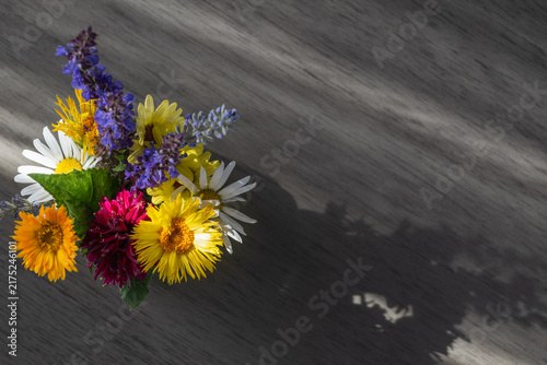  Colorful summer wildflower bouquet in sunlight with dramatic shadows and copy space.