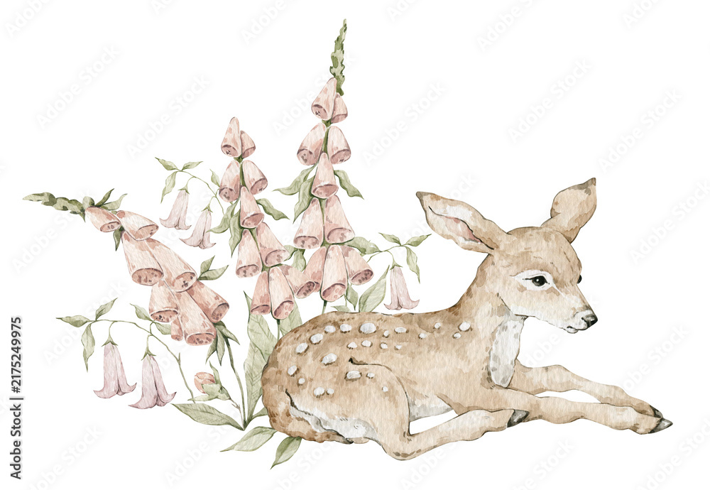 Fototapeta premium Watercolor cute resting deer and pink foxglove flowers. Woodland animal and nature