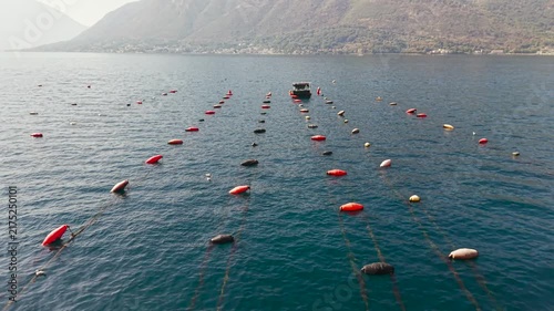 Oyster farm in the Bay of Kotor, Montenegro, with floating buoys and a small boat surrounded by scenic Adriatic mountains and coastal villages