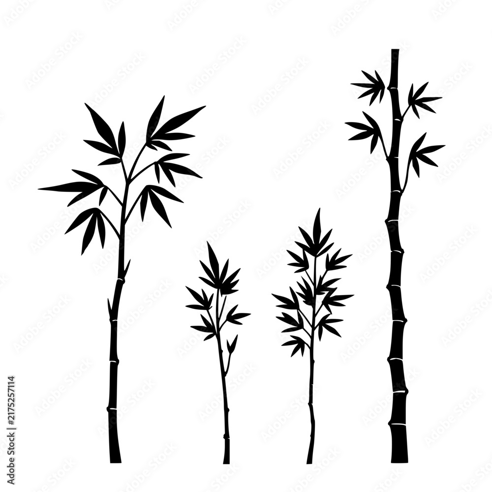 Obraz premium Four bamboo set with varying heights and leaf densities in a staggered composition featuring bamboo, vector, minimalist design with black and white and grayscale