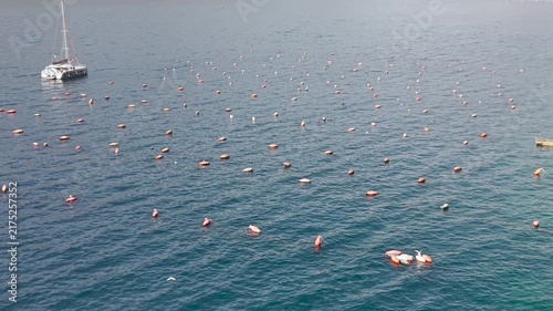 Aerial view of an oyster farm in the Bay of Kotor, Montenegro, with floating buoys, boats and the picturesque Adriatic Mountains.