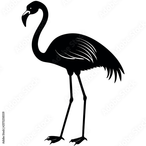 A standing flamingo silhouette on white background 